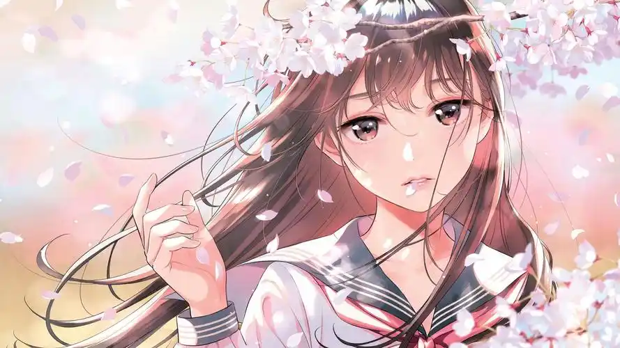 长风渡月 热播电视剧全集手机免费在线观看